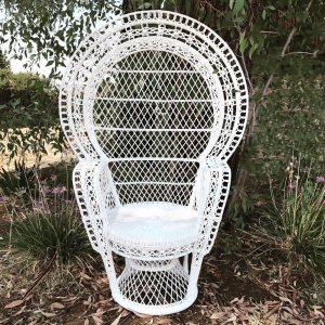 Charming Treasures gallery white peacock chair